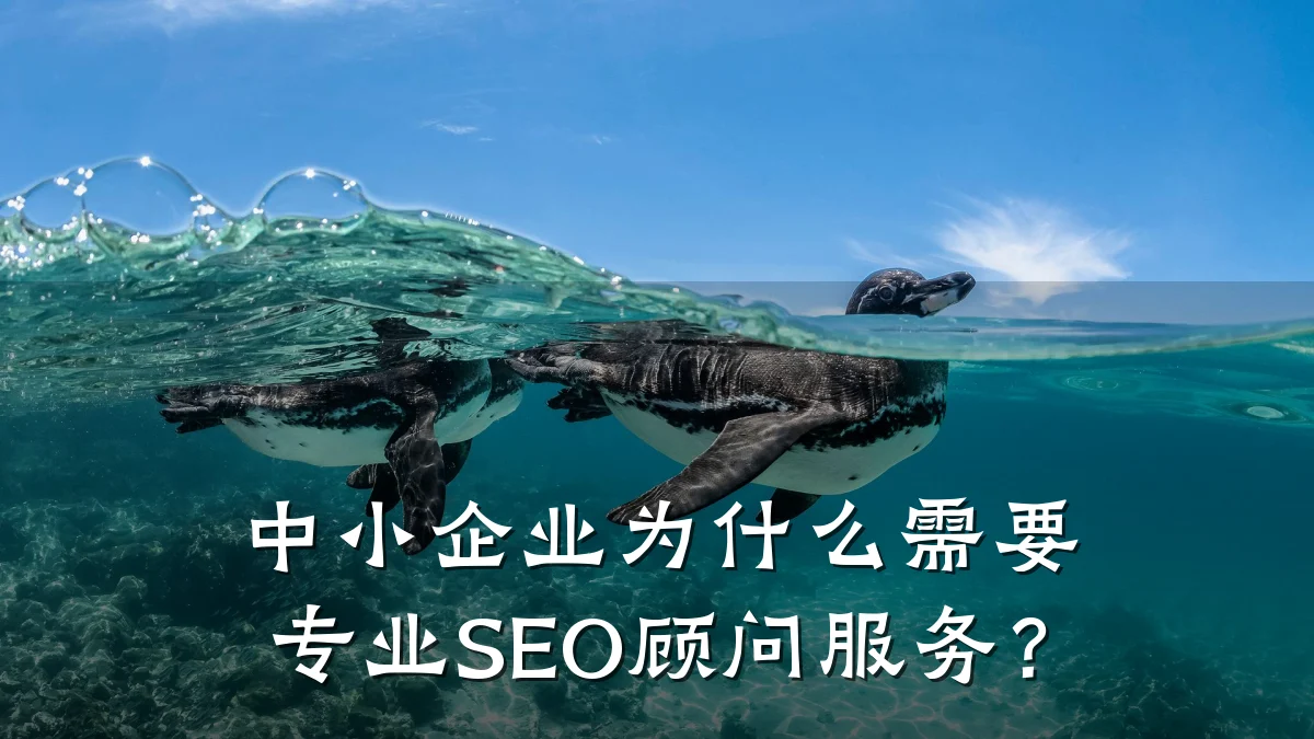 中小企业为什么需要专业SEO顾问服务?