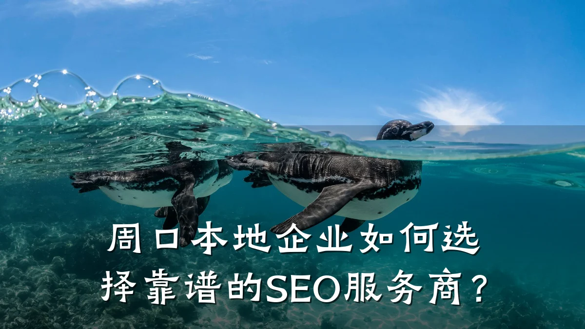 周口本地企业如何选择靠谱的SEO服务商?