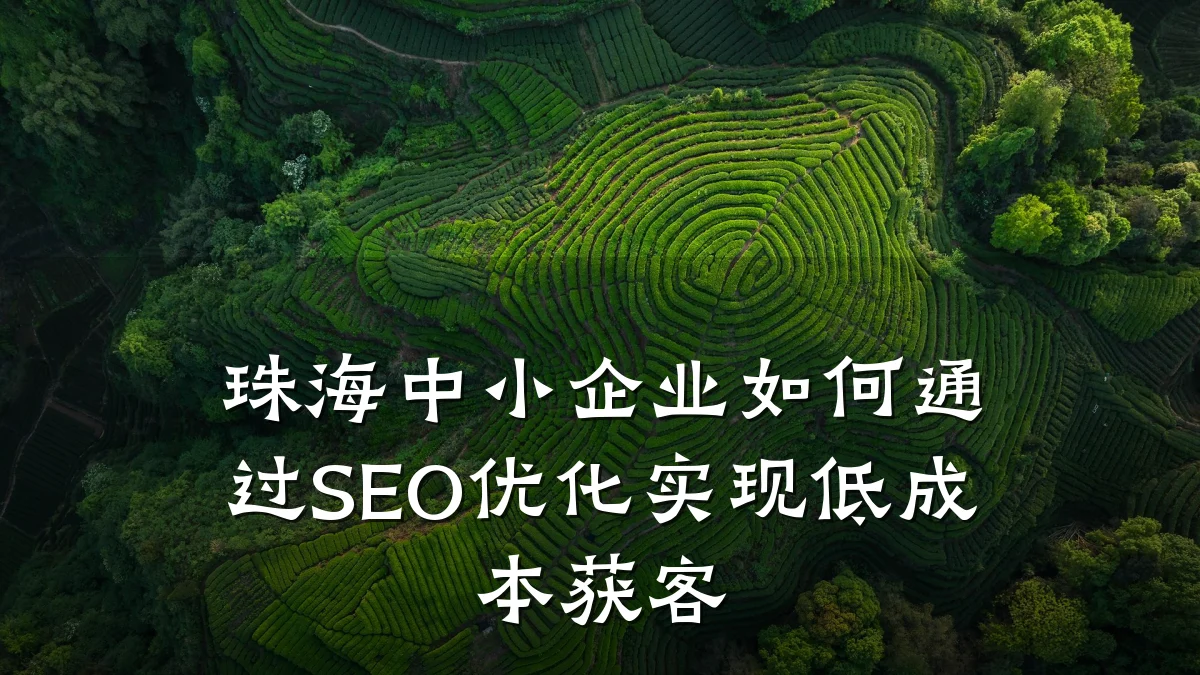 珠海中小企业如何通过SEO优化实现低成本获客