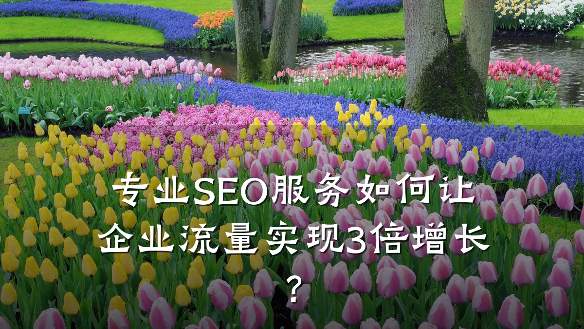 专业SEO服务如何让企业流量实现3倍增长?