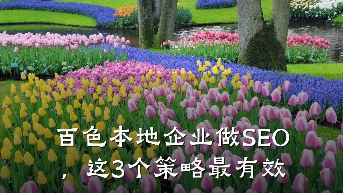 百色本地企业做SEO,这3个策略最有效