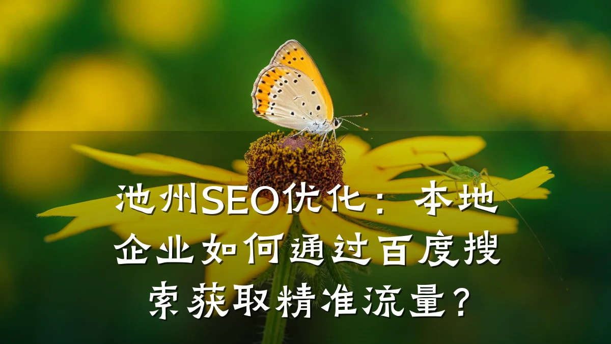 池州SEO优化:本地企业如何通过百度搜索获取精准流量?