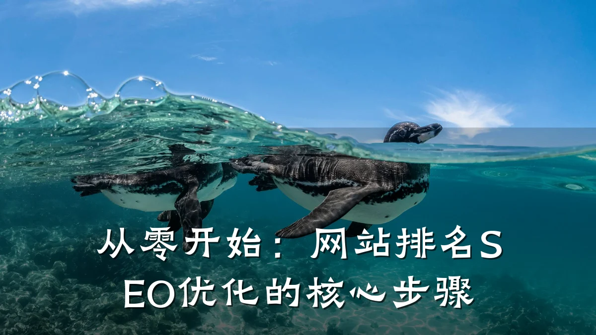 从零开始:网站排名SEO优化的核心步骤