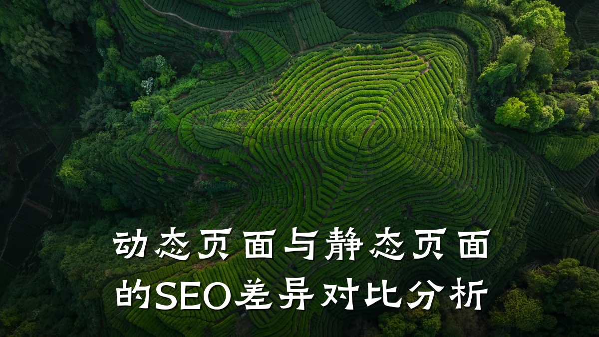 动态页面与静态页面的SEO差异对比分析