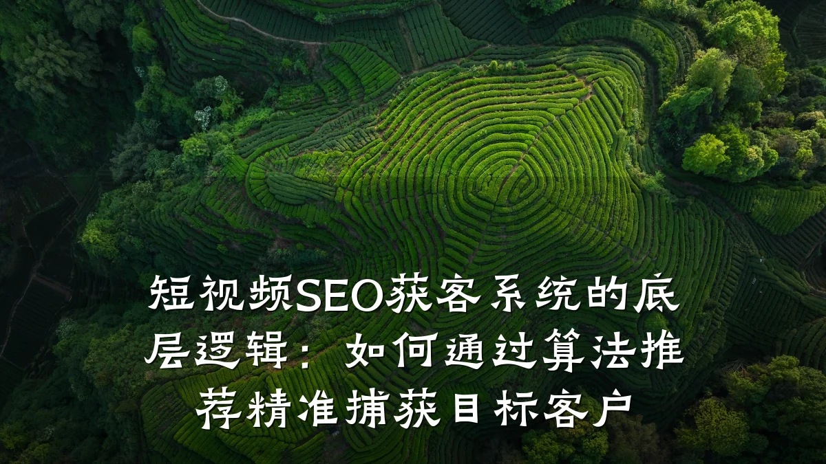 短视频SEO获客系统的底层逻辑:如何通过算法推荐精准捕获目标客户
