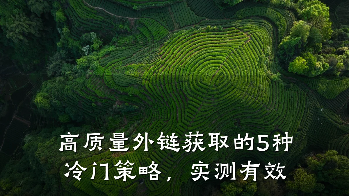 高质量外链获取的5种冷门策略,实测有效