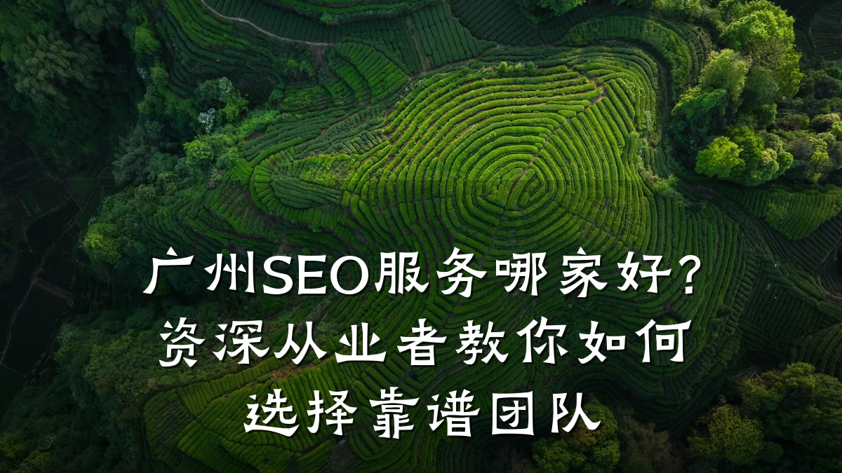 广州SEO服务哪家好?资深从业者教你如何选择靠谱团队