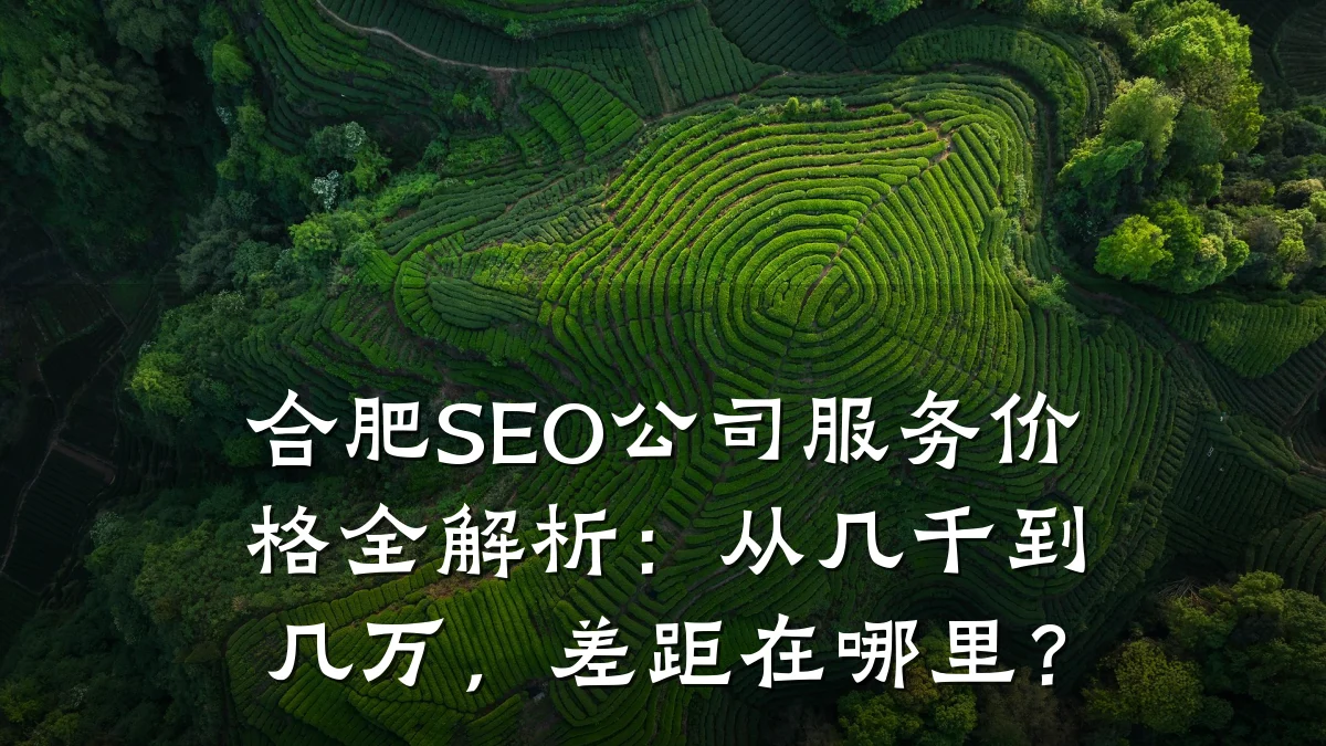 合肥SEO公司服务价格全解析:从几千到几万,差距在哪里?