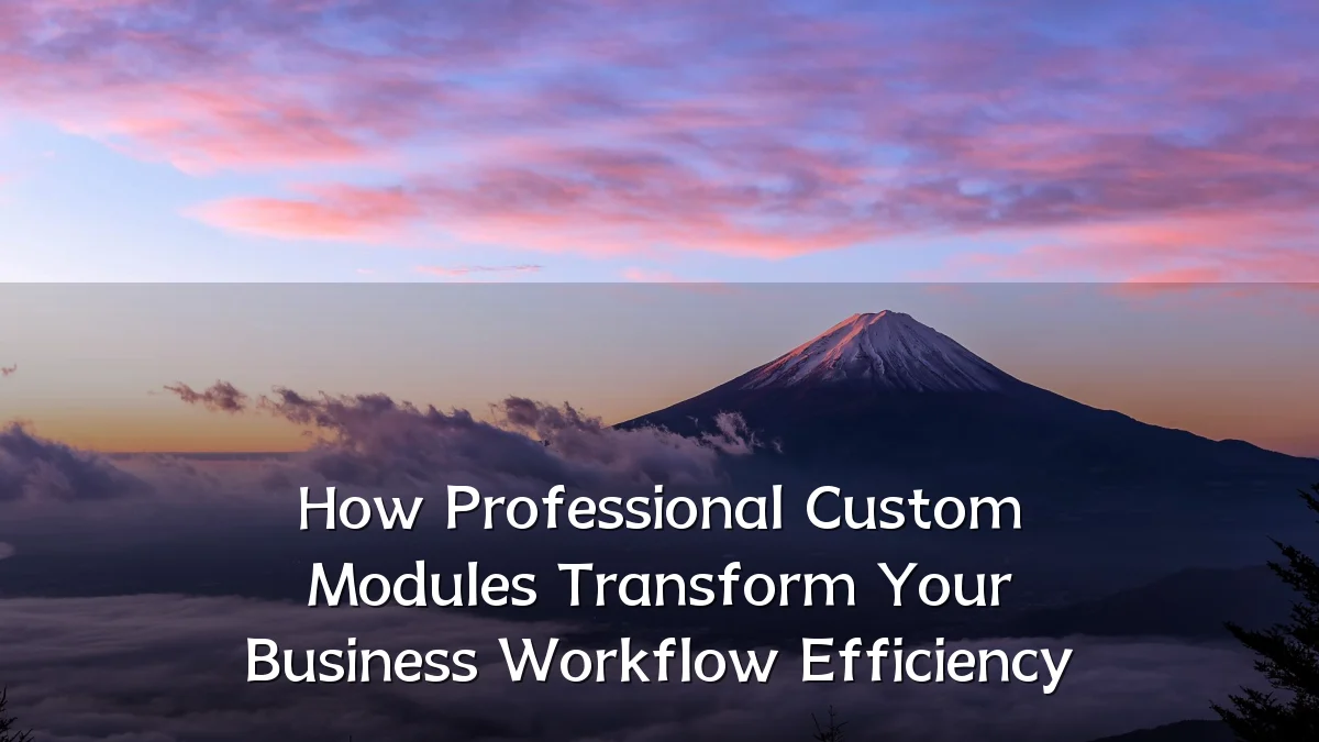 How Professional Custom Modules Transform Your Business Workflow Efficiency