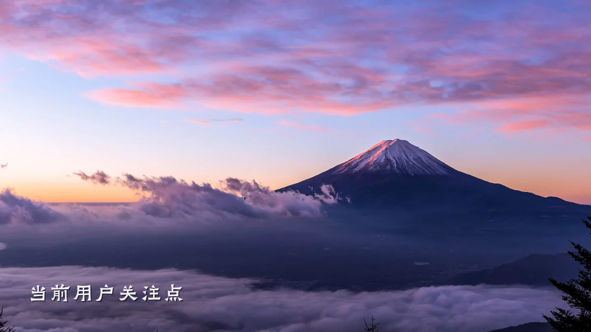 当前用户关注点