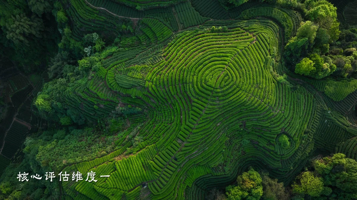 核心评估维度一