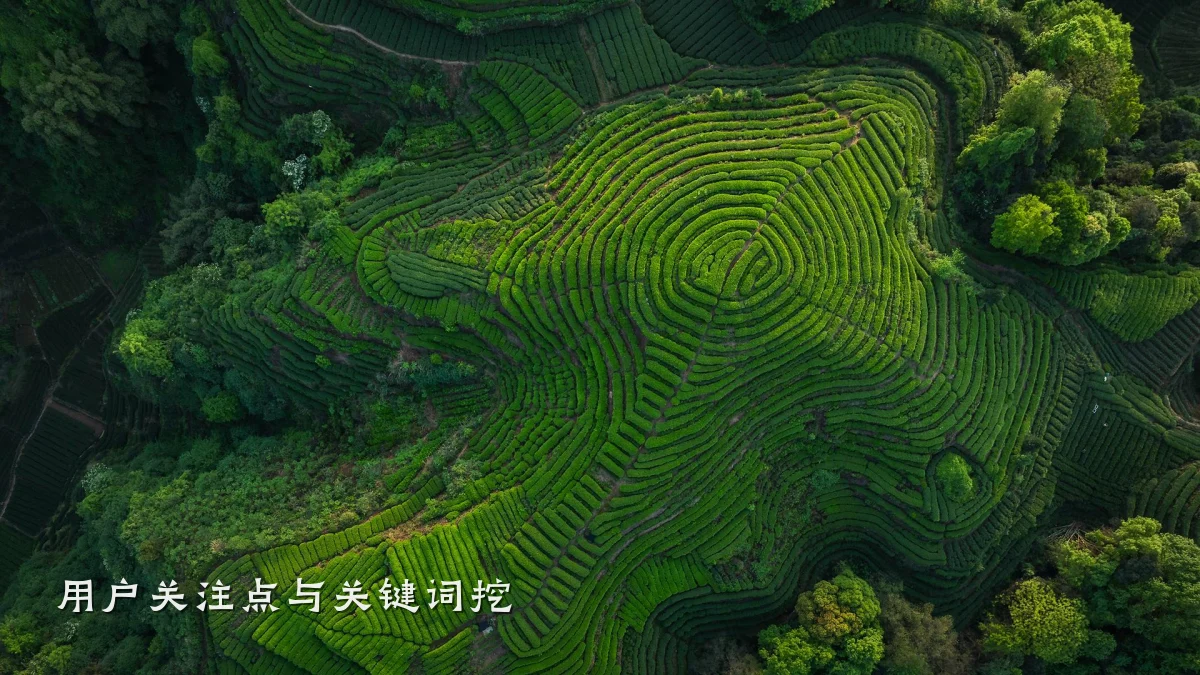 用户关注点与关键词挖