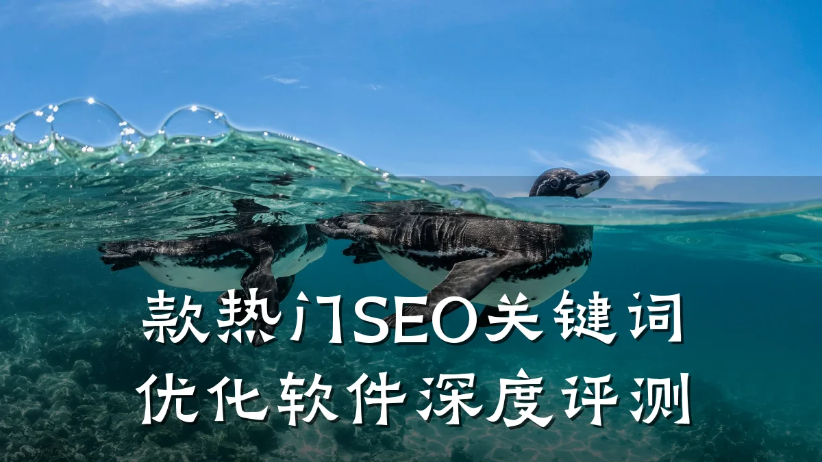 款热门SEO关键词优化软件深度评测