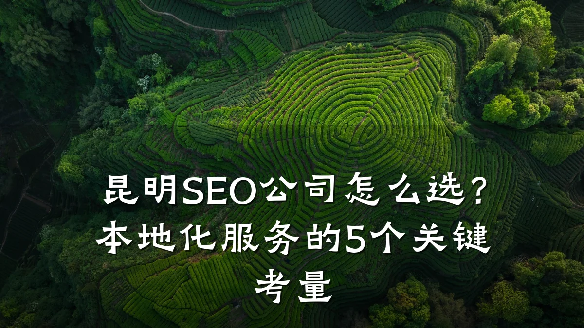 昆明SEO公司怎么选?本地化服务的5个关键考量
