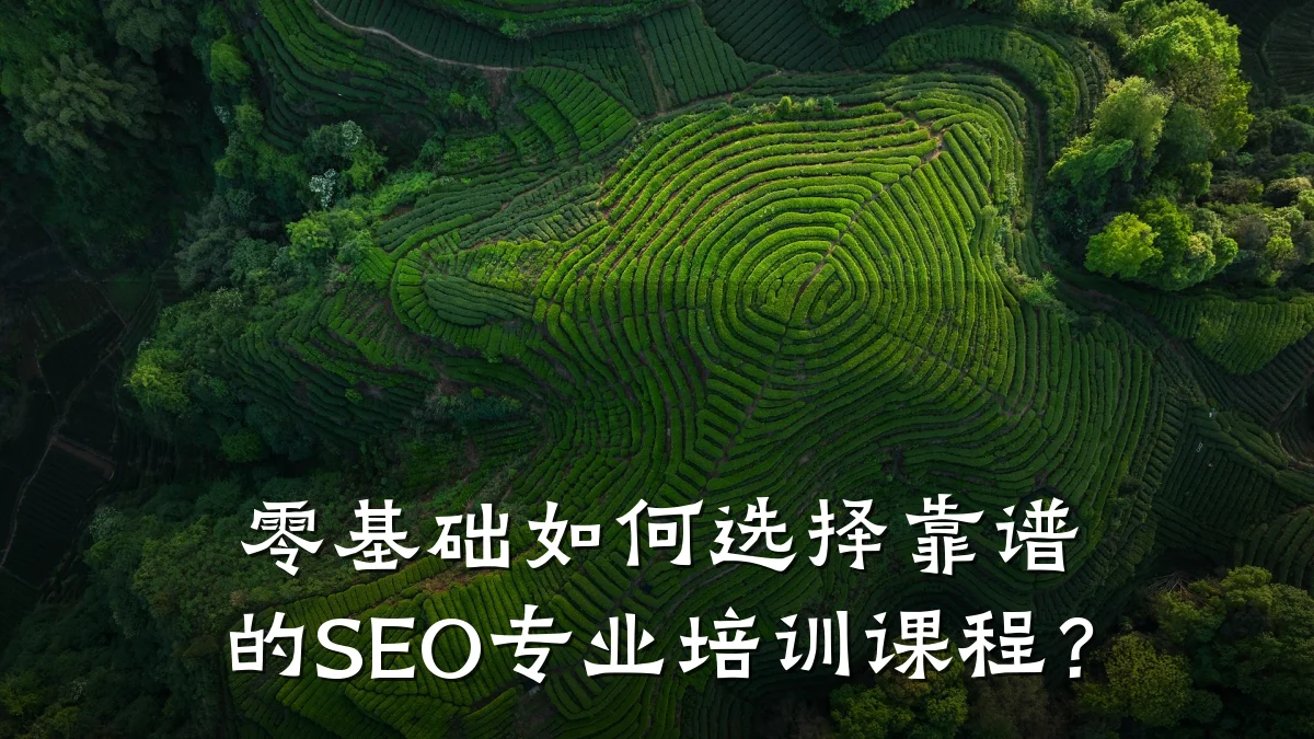 零基础如何选择靠谱的SEO专业培训课程？