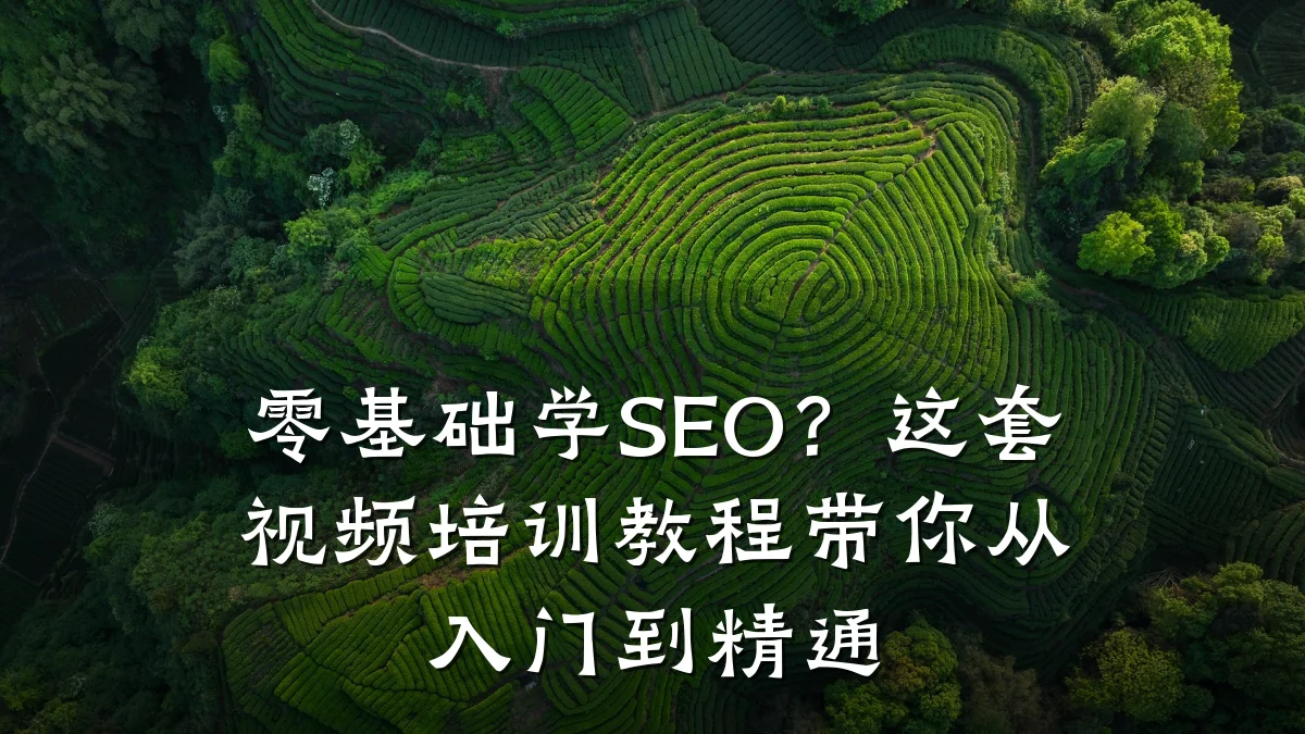 零基础学SEO?这套视频培训教程带你从入门到精通
