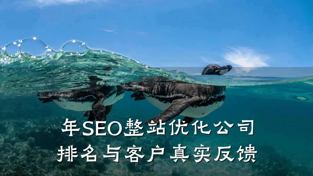 年SEO整站优化公司排名与客户真实反馈