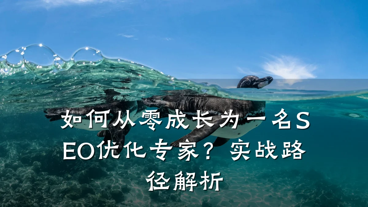 如何从零成长为一名SEO优化专家?实战路径解析