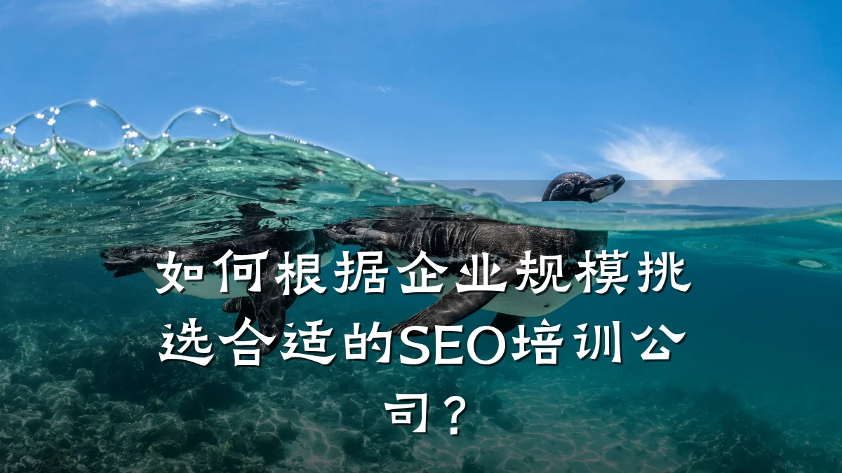 如何根据企业规模挑选合适的SEO培训公司?