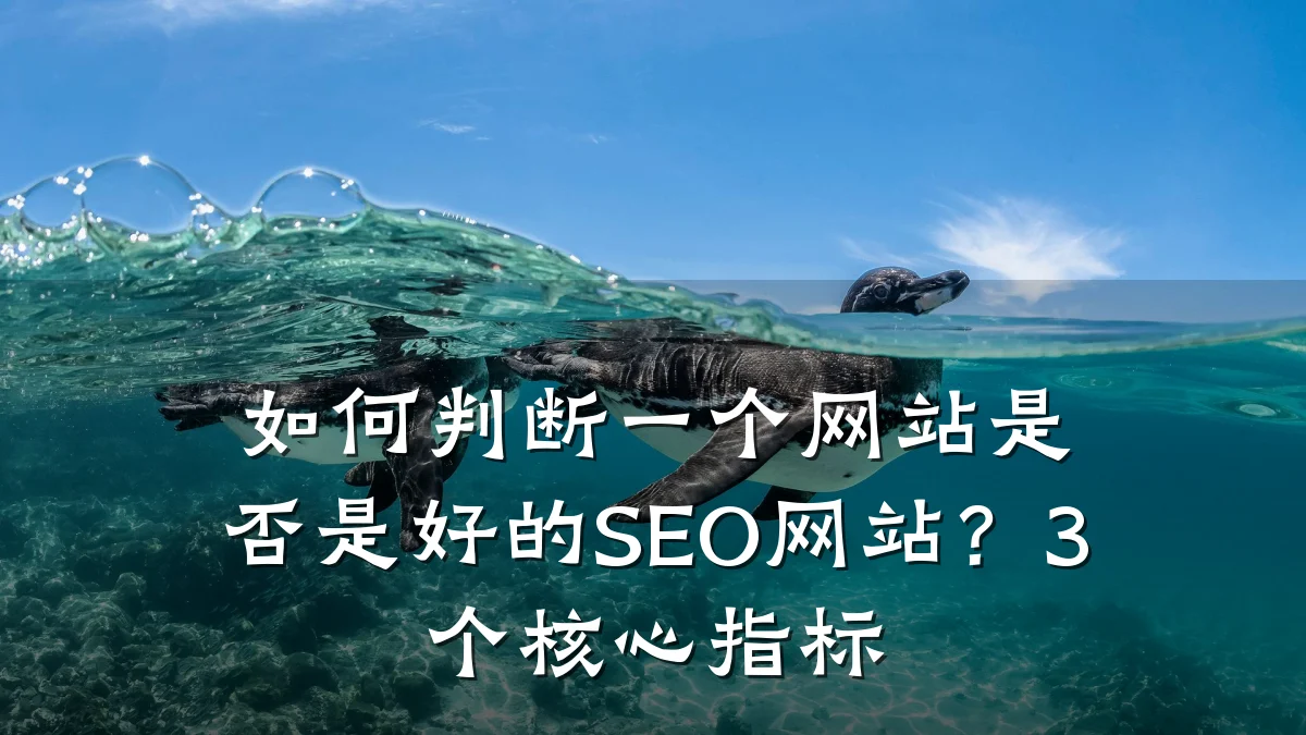 如何判断一个网站是否是好的SEO网站?3个核心指标