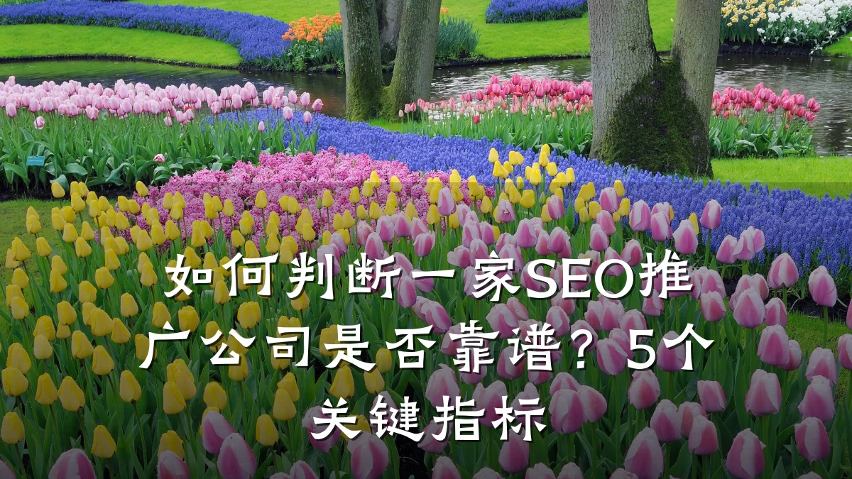 如何判断一家SEO推广公司是否靠谱?5个关键指标