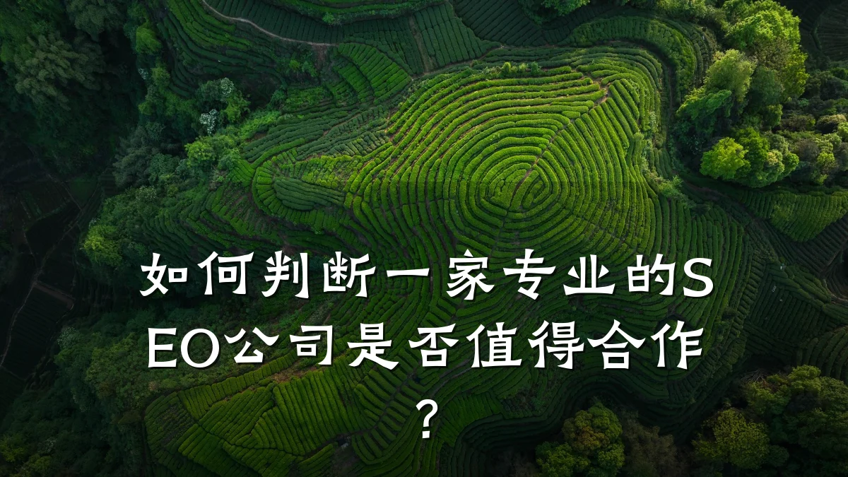 如何判断一家专业的SEO公司是否值得合作?