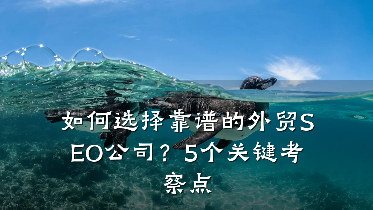 如何选择靠谱的外贸SEO公司?5个关键考察点