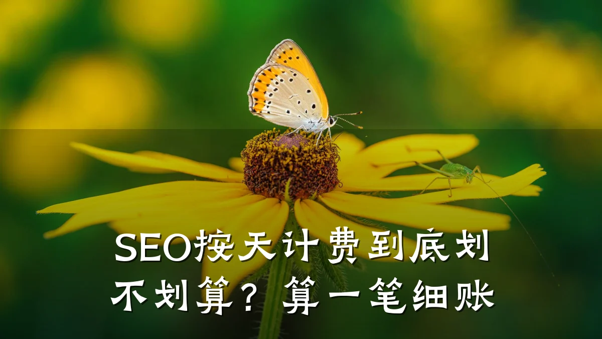 SEO按天计费到底划不划算?算一笔细账