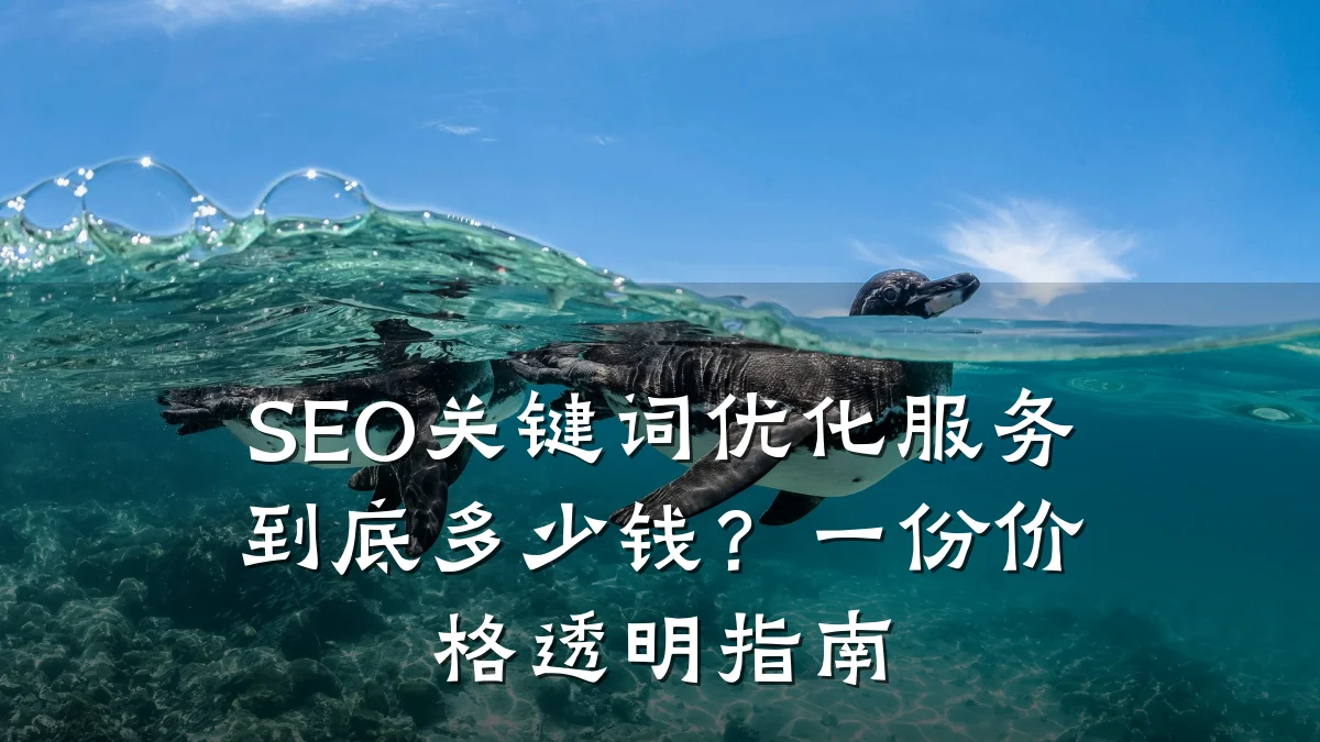 SEO关键词优化服务到底多少钱？一份价格透明指南