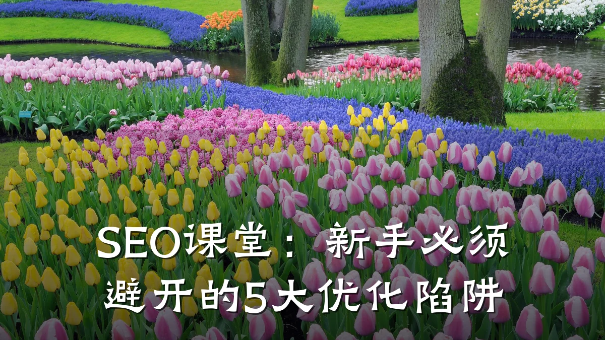 SEO课堂:新手必须避开的5大优化陷阱