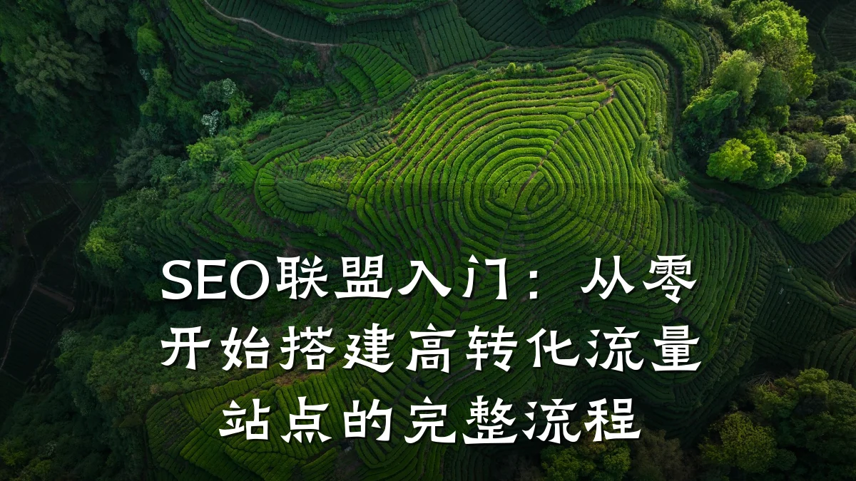 SEO联盟入门：从零开始搭建高转化流量站点的完整流程