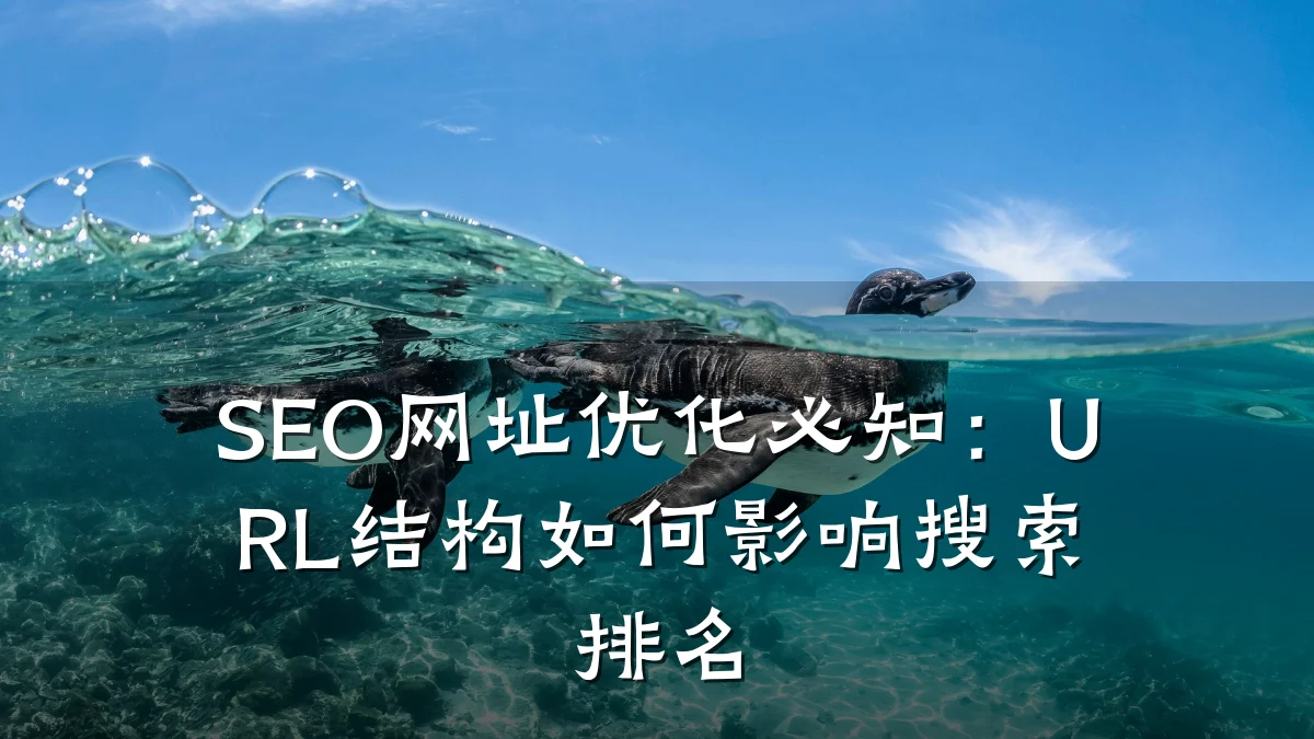 SEO网址优化必知:URL结构如何影响搜索排名