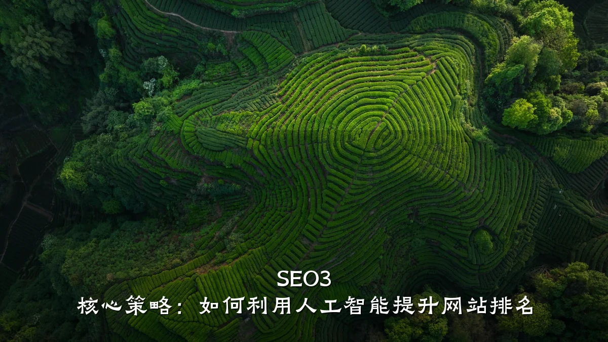SEO3 核心策略:如何利用人工智能提升网站排名