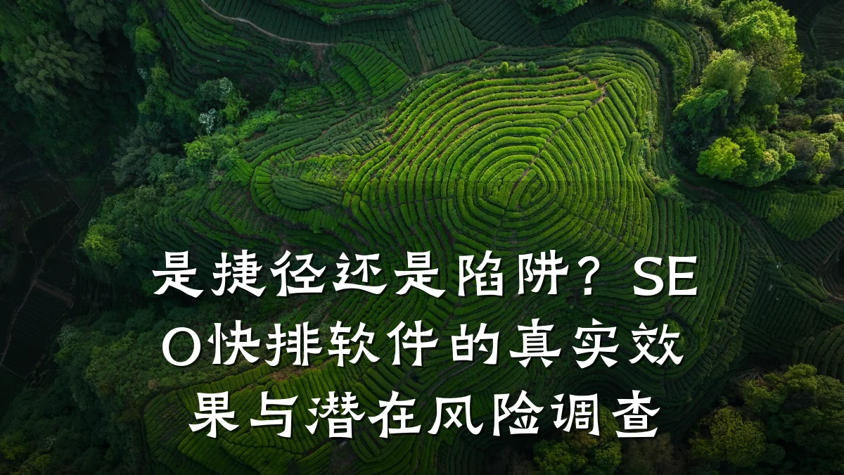 是捷径还是陷阱?SEO快排软件的真实效果与潜在风险调查