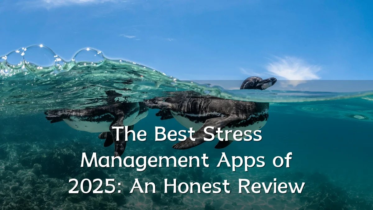 The Best Stress Management Apps of 2025: An Honest Review