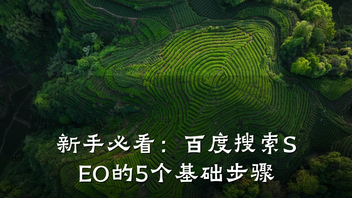 新手必看:百度搜索SEO的5个基础步骤