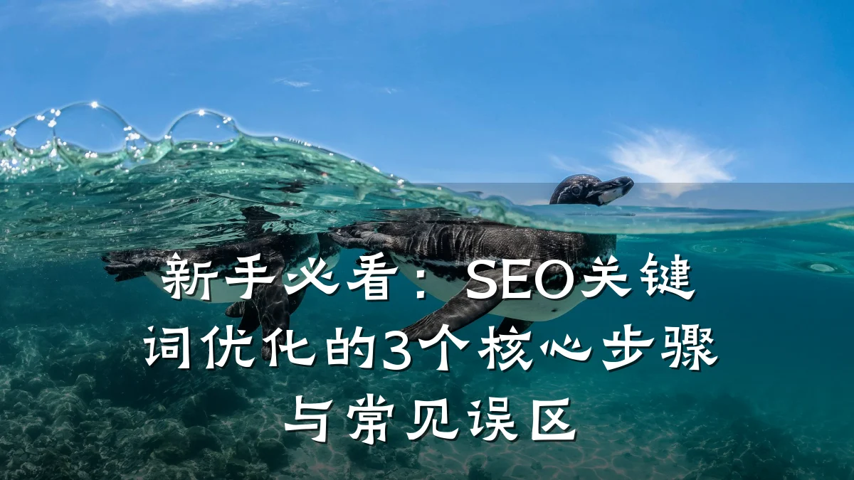 新手必看:SEO关键词优化的3个核心步骤与常见误区