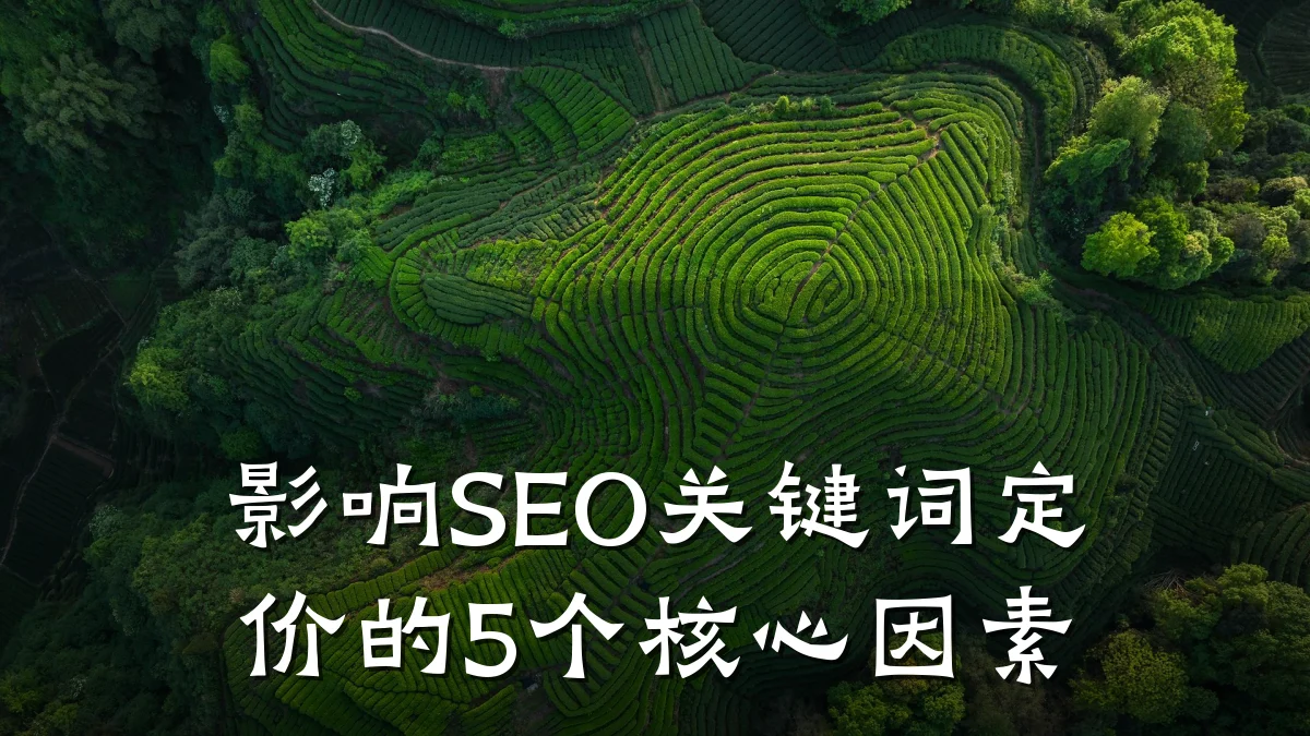 影响SEO关键词定价的5个核心因素
