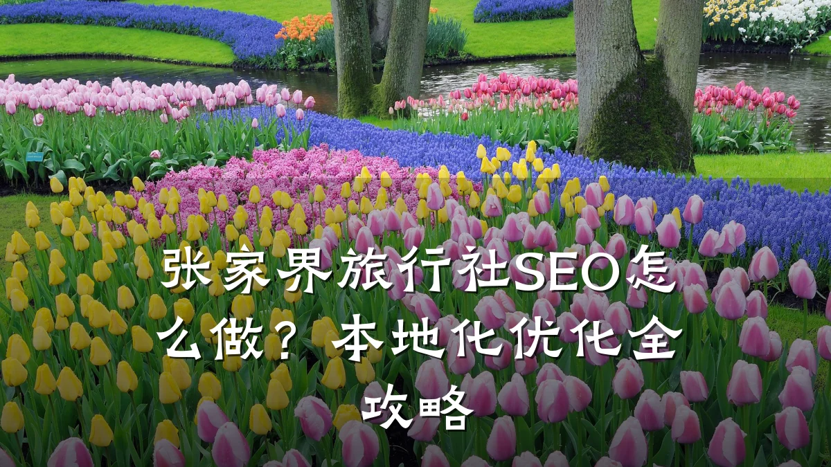 张家界旅行社SEO怎么做?本地化优化全攻略