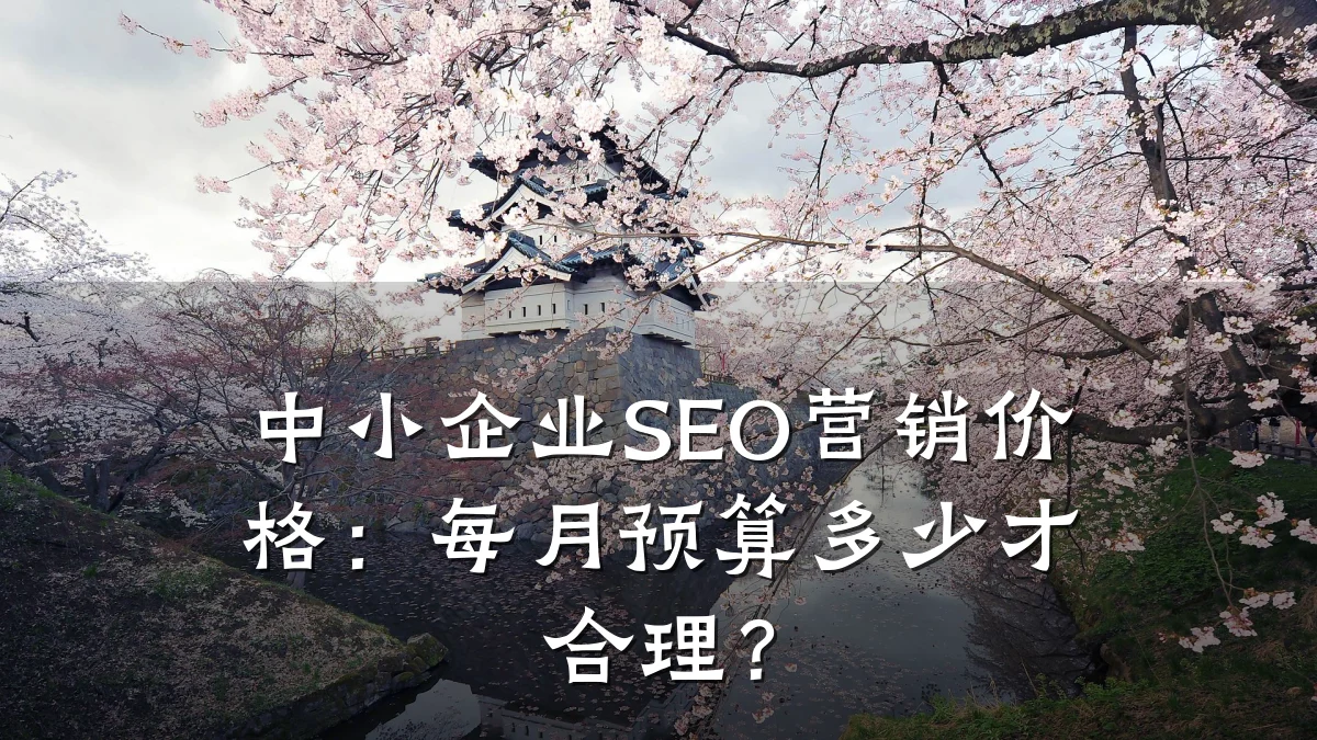 中小企业SEO营销价格:每月预算多少才合理?