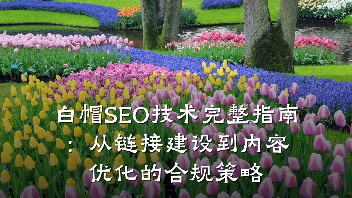 白帽SEO技术完整指南:从链接建设到内容优化的合规策略