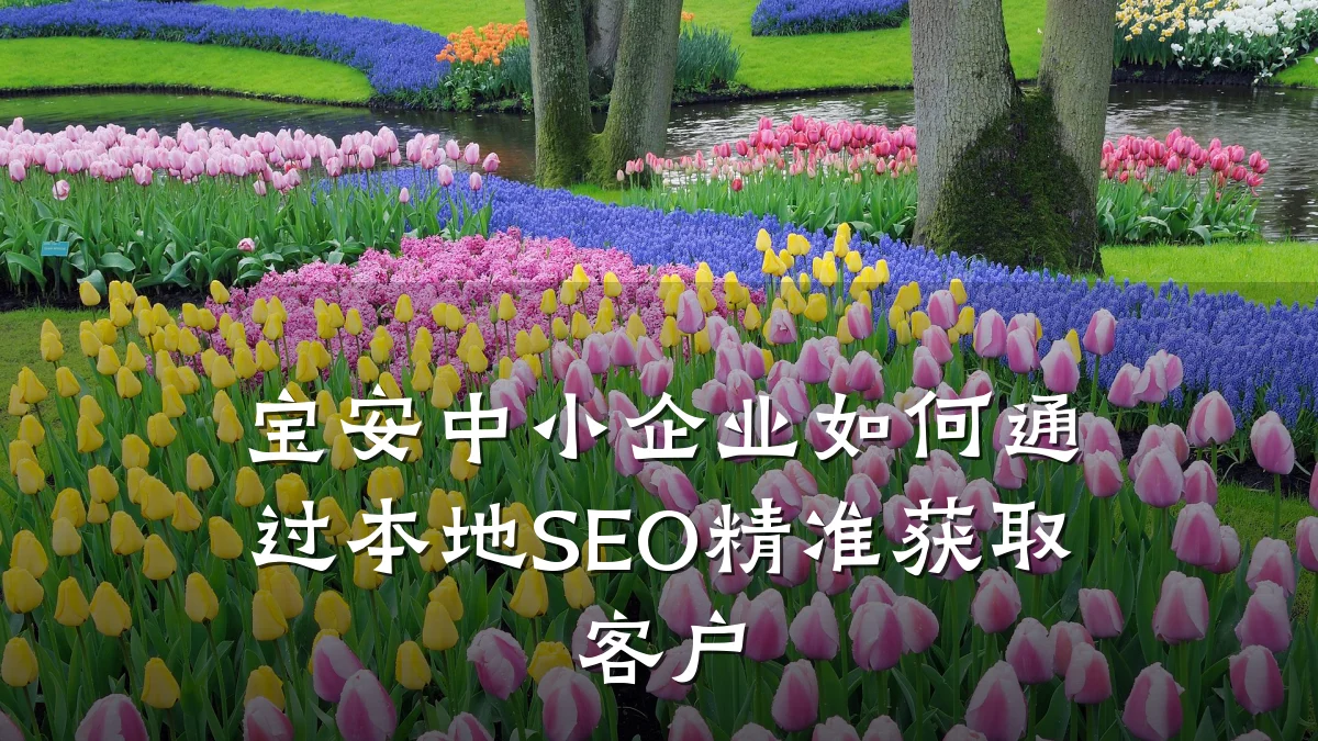 宝安中小企业如何通过本地SEO精准获取客户