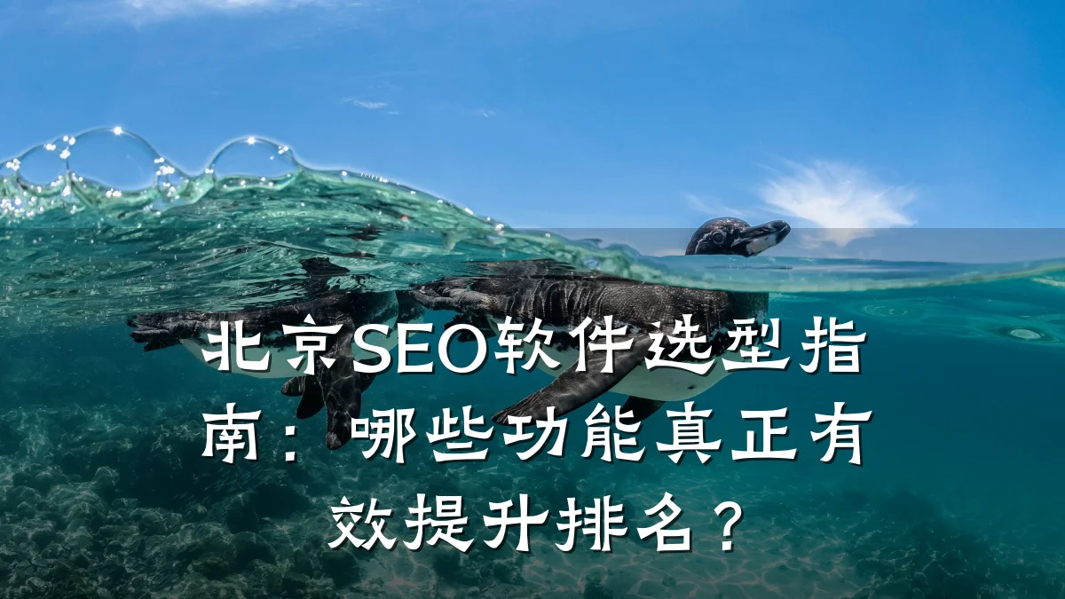 北京SEO软件选型指南:哪些功能真正有效提升排名?