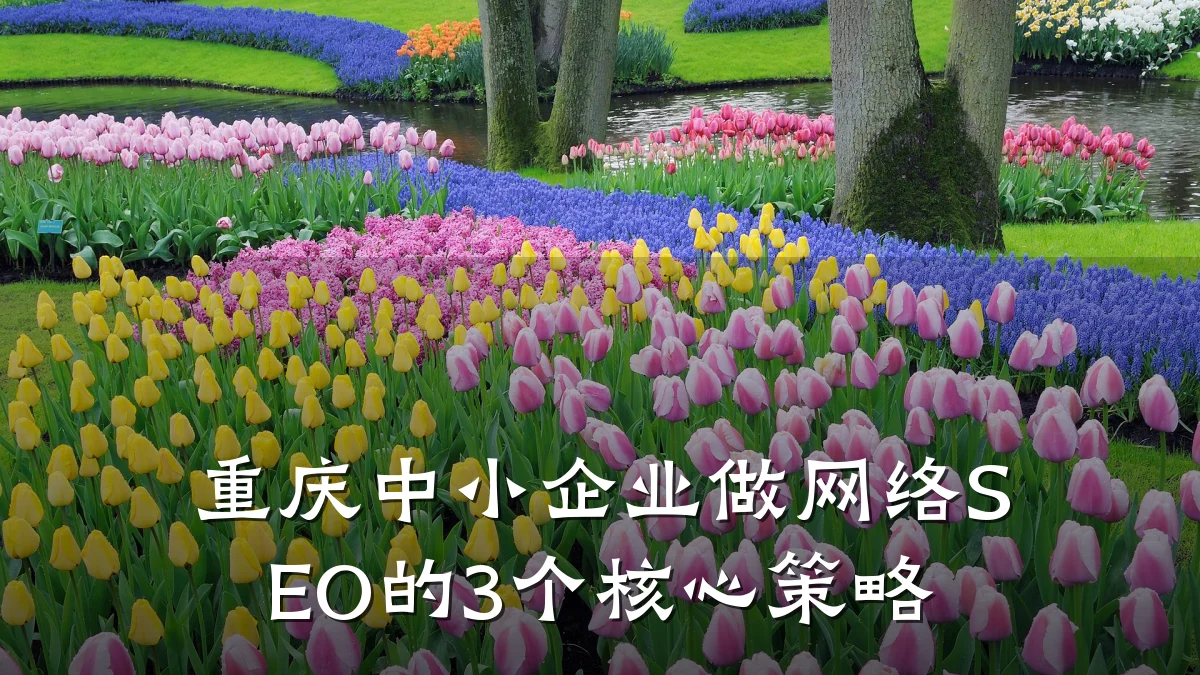 重庆中小企业做网络SEO的3个核心策略