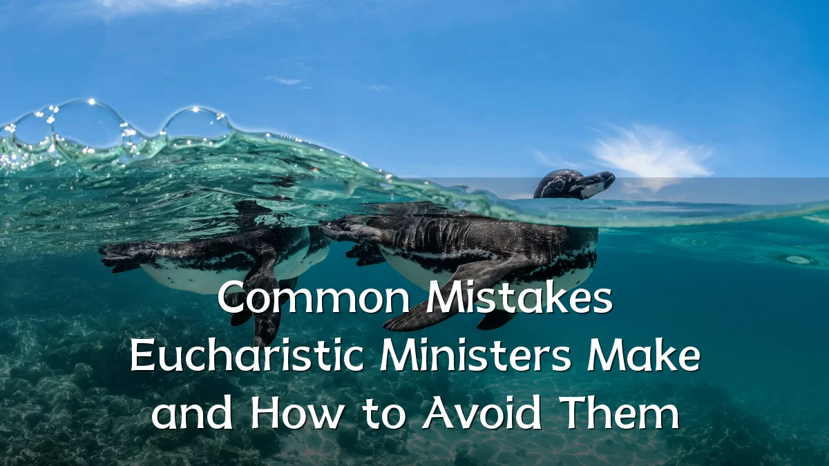 Common Mistakes Eucharistic Ministers Make and How to Avoid Them