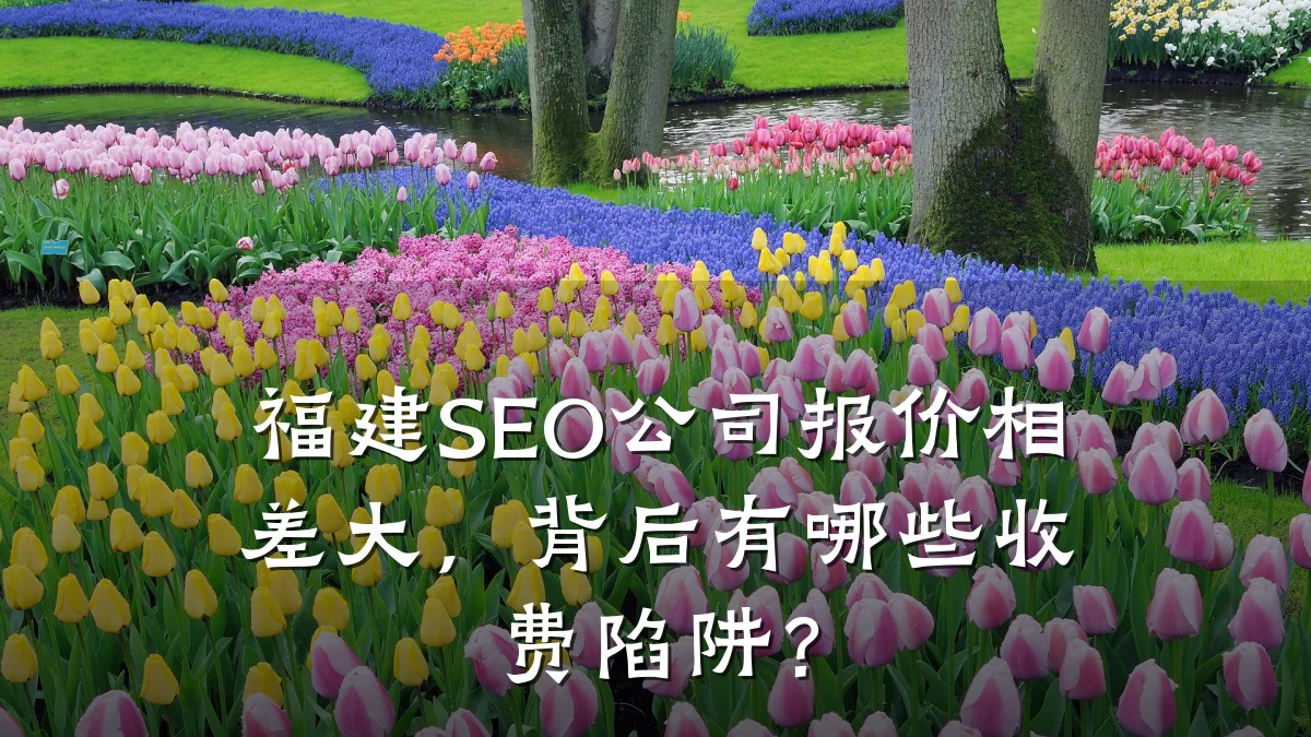 福建SEO公司报价相差大，背后有哪些收费陷阱？