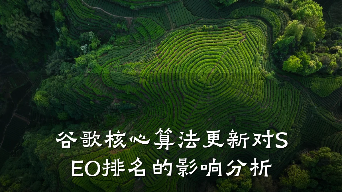 谷歌核心算法更新对SEO排名的影响分析