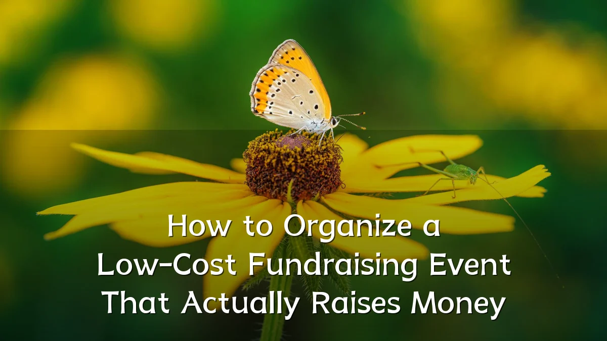 How to Organize a Low-Cost Fundraising Event That Actually Raises Money