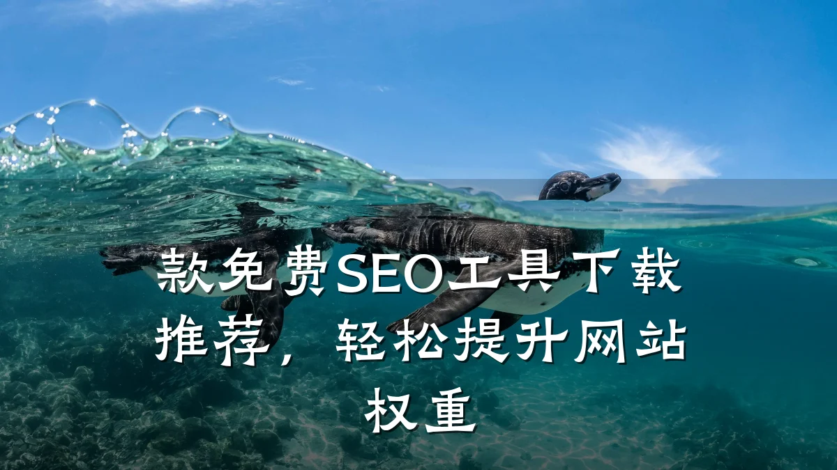 款免费SEO工具下载推荐,轻松提升网站权重