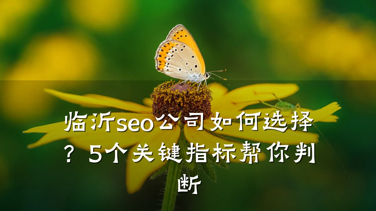 临沂seo公司如何选择？5个关键指标帮你判断